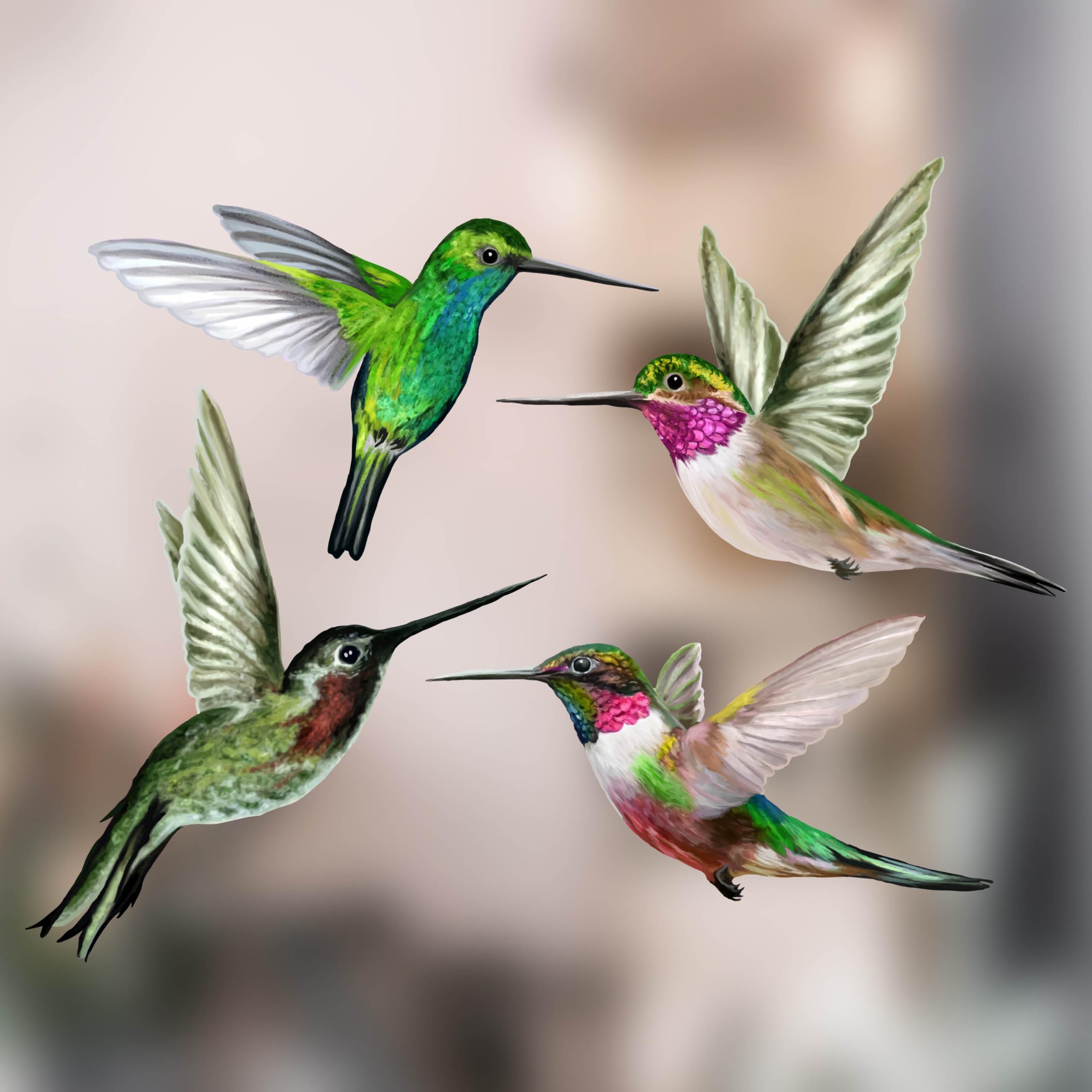 Stickers Pour Fenêtre - 4 Superbes Stickers Electrostatiques Décoratifs au Motif Colibri – Permet d’éviter que Les Oiseaux Ne Se Cognent Dans Vos Fenêtres