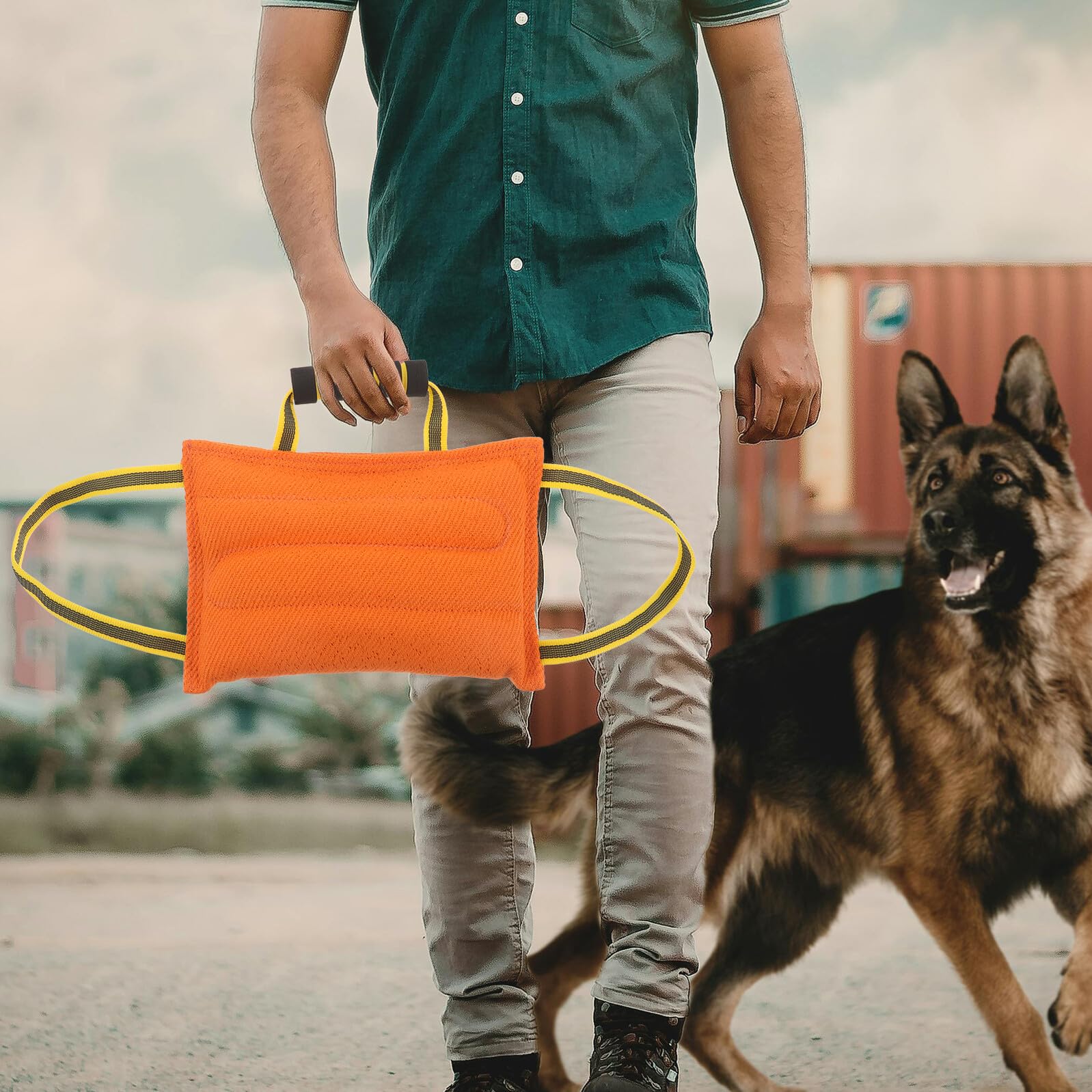 Coussin à Mâcher Professionnel pour Dressage de Chiens Mordants Manchon Résistant aux Morsures en Tissu Doux Orange Accessoire Interactif pour L’Entraînement Intérieur et