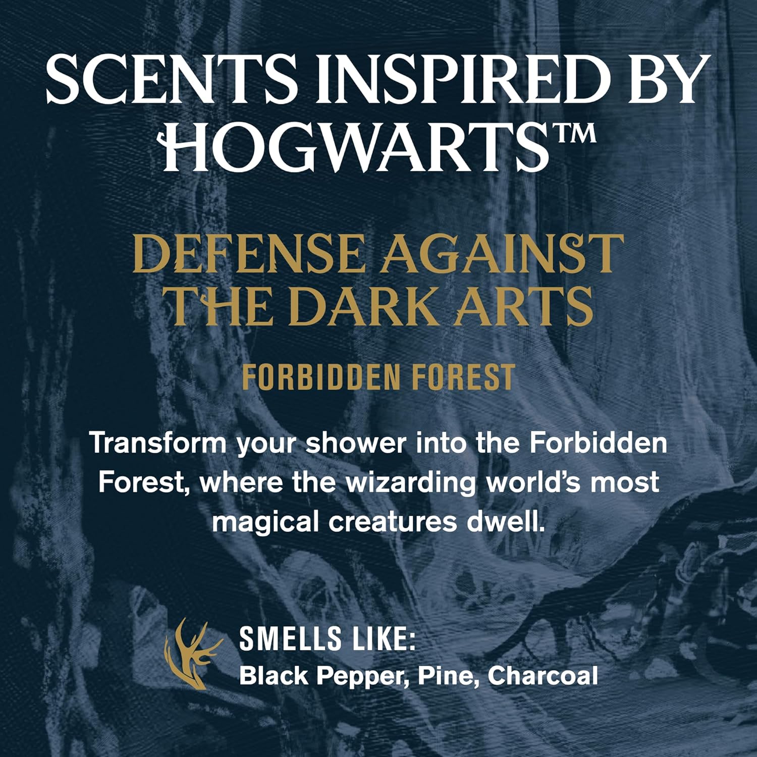 Every Man Jack Harry Potter Collectors Body Wash - Hogwarts Inspired Scents & Clean Ingredients - Defense Against the Dark Arts - Forbidden Forest Scent - 13.5 oz (Pack of 2) - Image 3