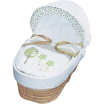 palm moses basket