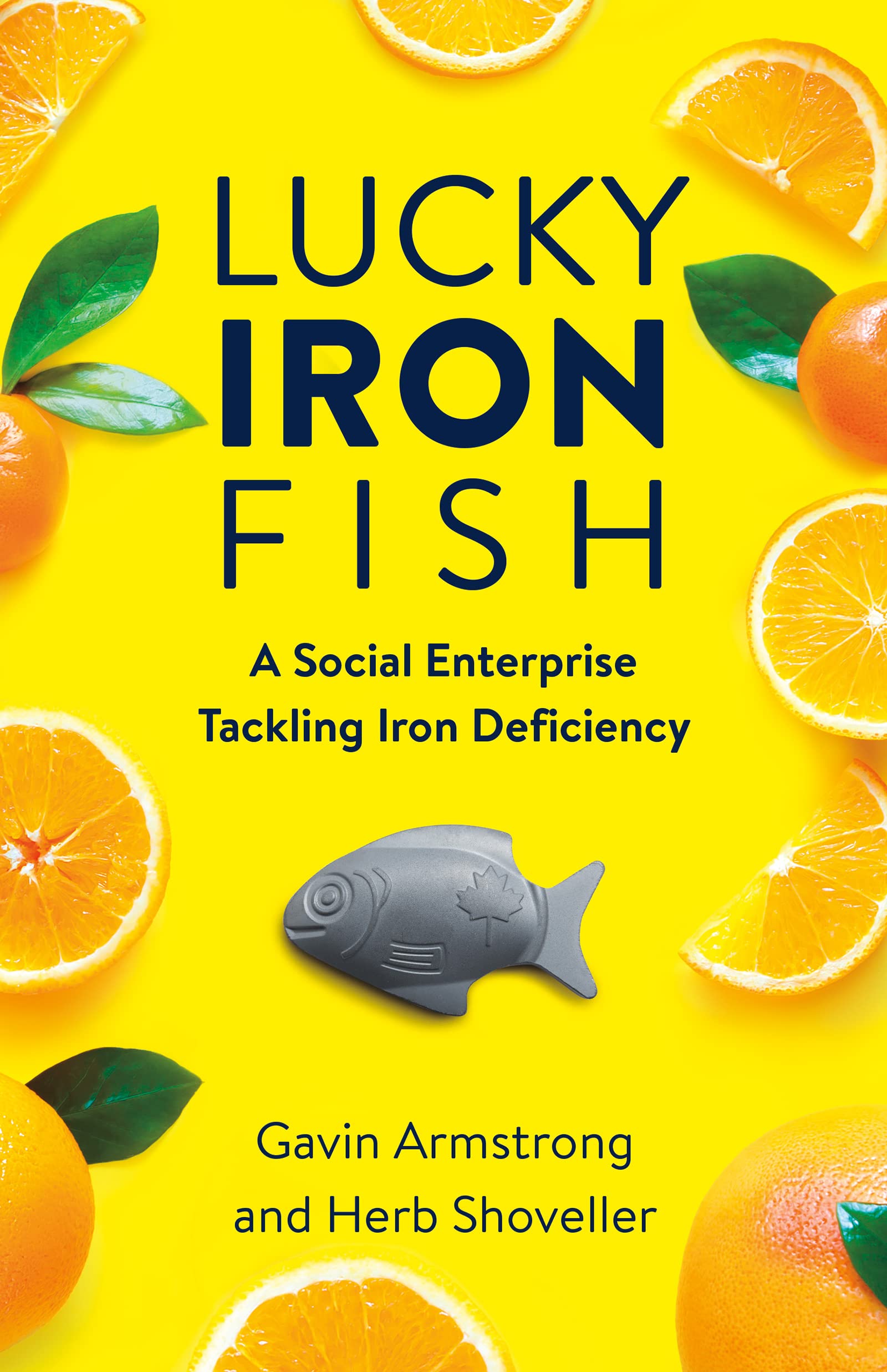 Lucky Iron Fish: A Social Enterprise Tackling Iron Deficiency Paperback – December 12, 2023