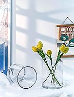 Vista 5 de CYS EXCEL Jarrón de vidrio transparente cilíndrico (H:8" D:6") Múltiples opciones de tamaño de jarrones de vidrio para flores como centros de mesa