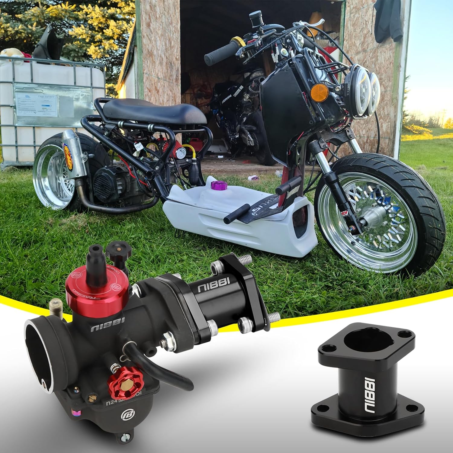 collectionneur d'admission NIBBI Coleman, pour Tunisia Ubuy - Main Image