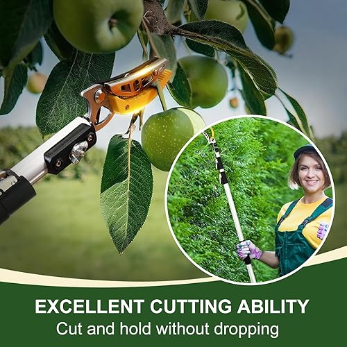 Miniatura 3 de Tijeras telescópicas de jardinería de poste de 4.6 a 10 pies, recolector de frutas y tijeras de derivación. Aluminio ligero, herramienta de