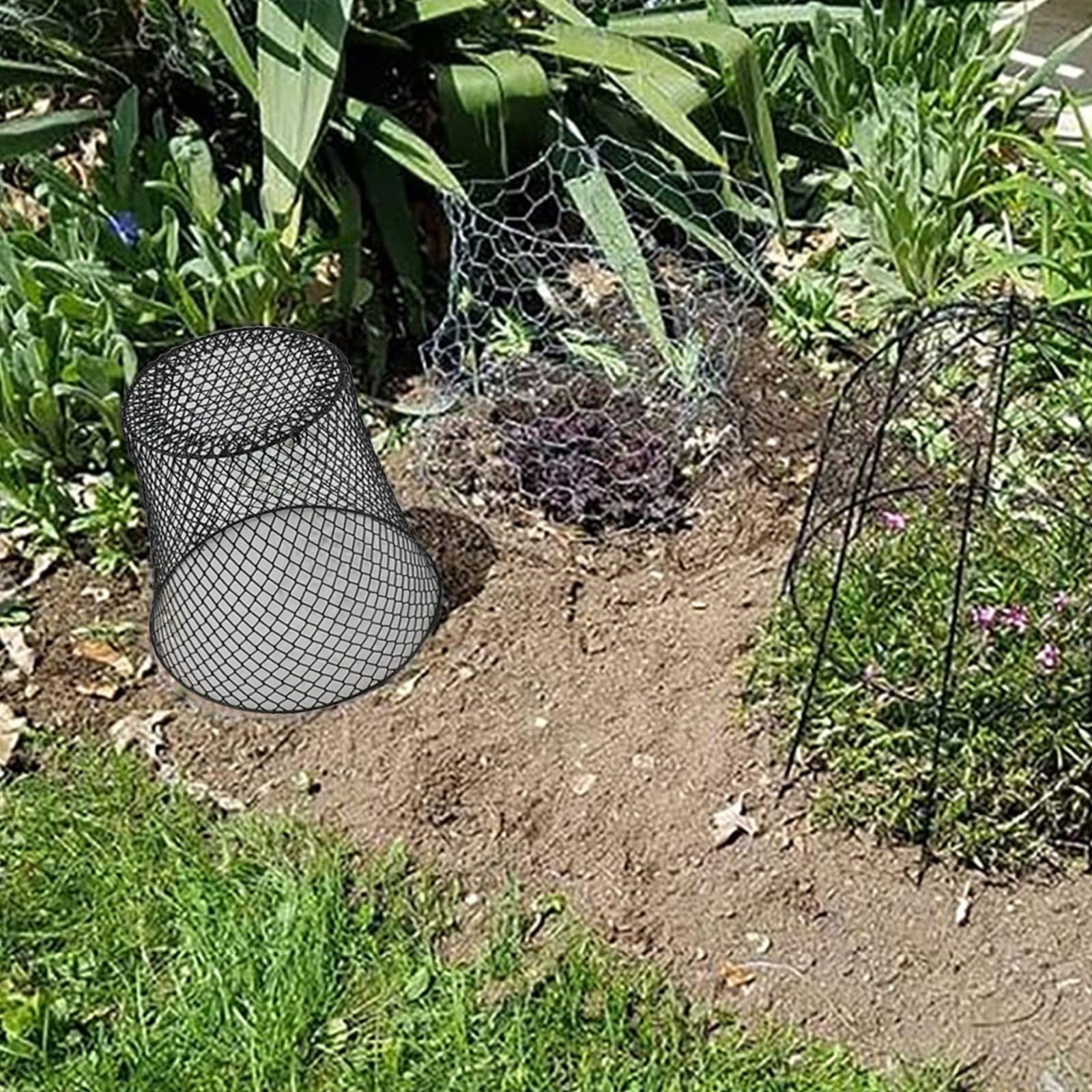 Lot de 10 cloches de protection en métal pour plantes, lapins, écureuils, cerfs - En maille métallique - Protection contre les animaux - Pour légumes - Paniers revêtus de PVC - Intérieur et