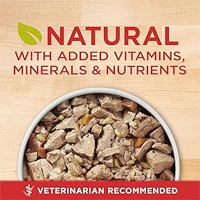 Top-Rated Wet Dog Food Brands best sellers 9 81Zall2YeLL. AC SL289