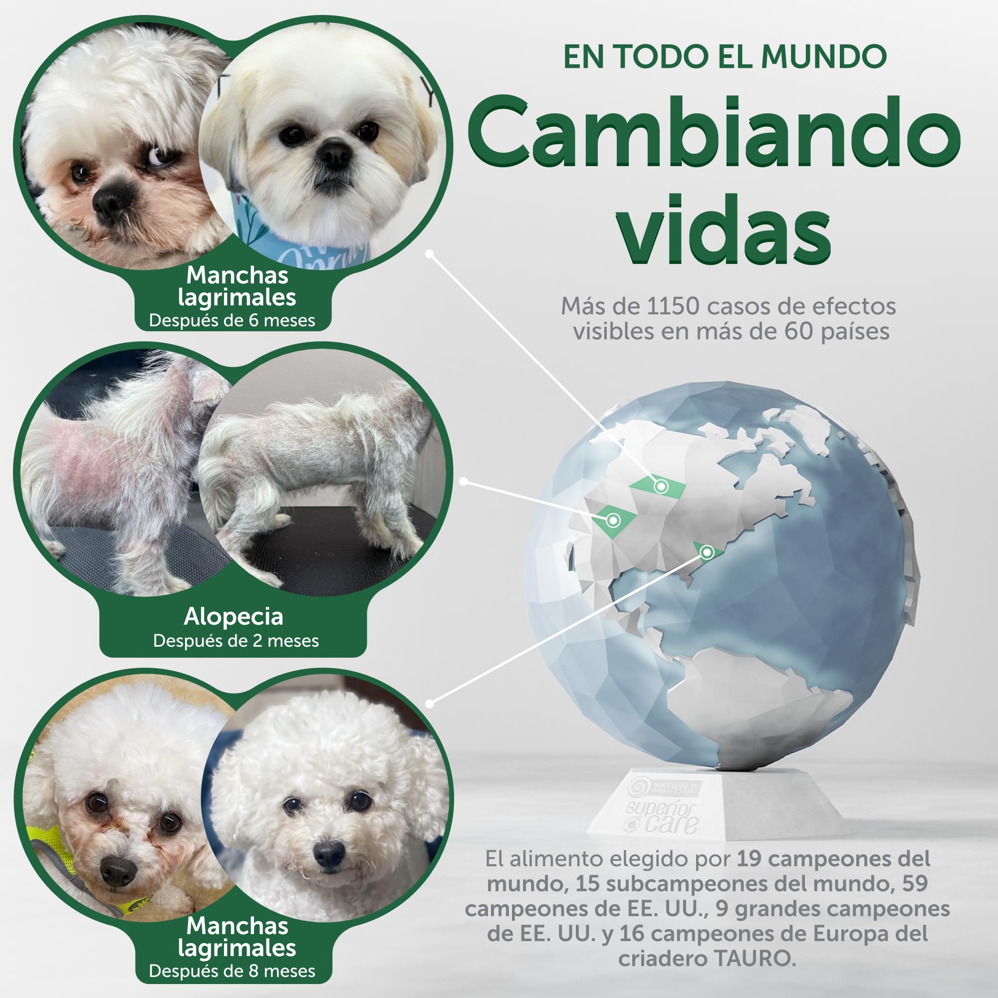 Nature's Protection Superior Care Pienso hipoalergénico, Salmón 10 kg | Digestión suave para estómagos sensibles, Reduce el riesgo de alergias, Sin cereales, Perros adultos, todas las razas