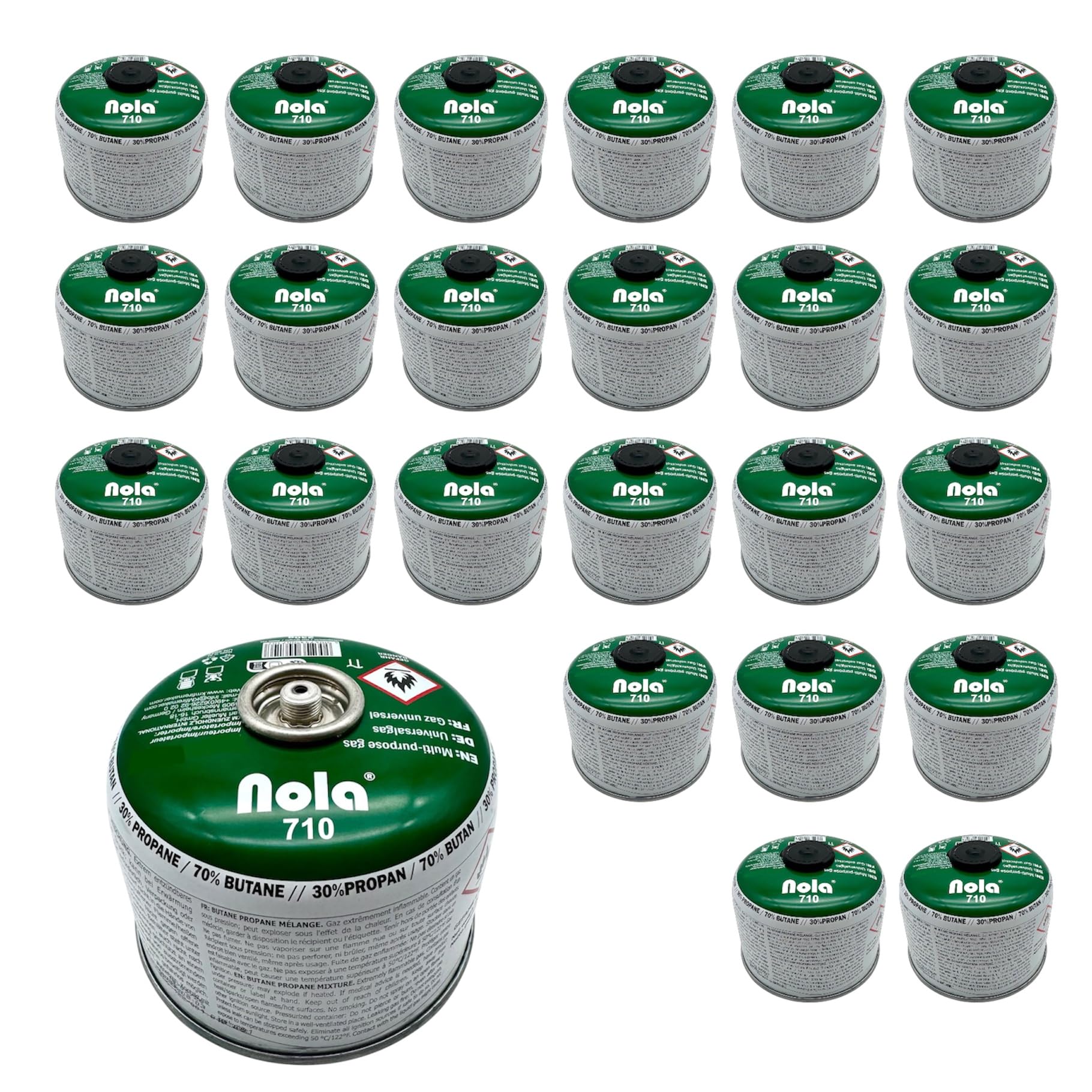 2 x 230 g di gas propano butano gas da campeggio valvola a vite EN 417 – fornello a gas – fornello a gas bruciatore per erbacce campeggio – cartuccia gas a vite (24 x 230 g)