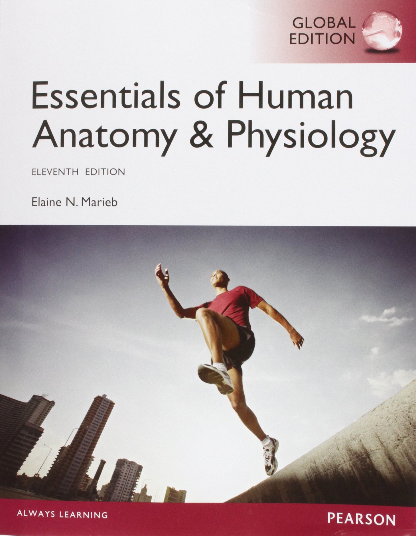 Essentials of Human Anatomy & Physiology, 11th Edition