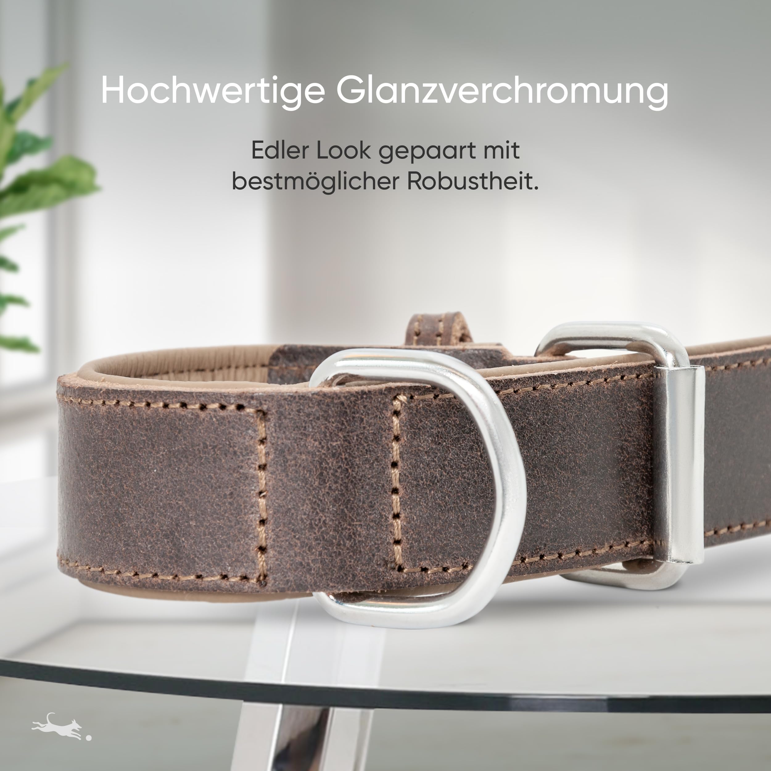 FREUDENTIER® Hondenhalsband Van Leer, Made In Nederland, Gevoerd En Super Comfortabel Hoogwaardige Brede Leren Halsband Volnerfleer Model Amstelpark 47 57 Cm Halsomtrek Zand 650969909