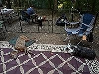 Review Image by Renee Renee