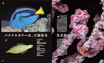 美しすぎる海洋生物の世界 (エイムック 4428) | 石垣 幸二, エイ