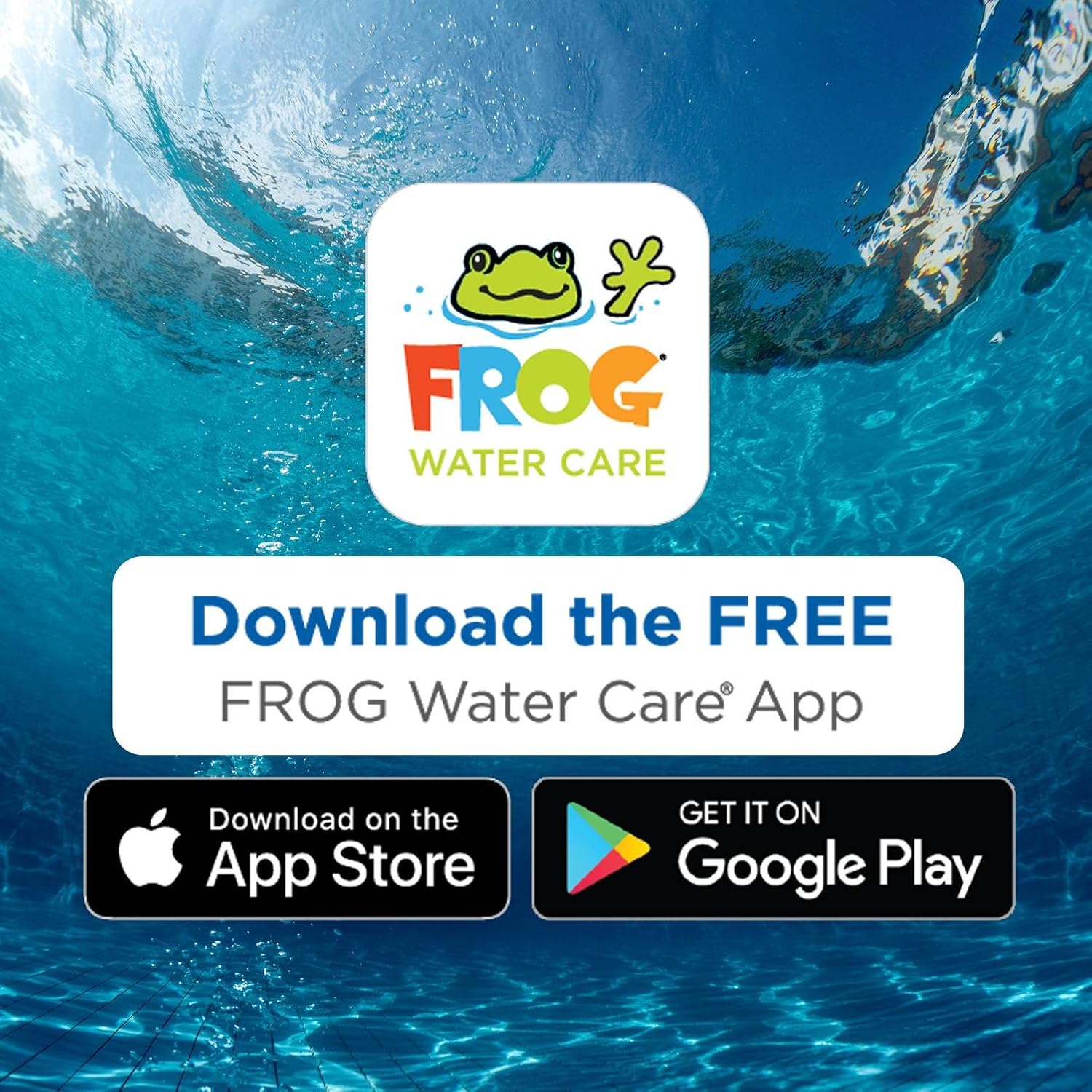 Flippin’ FROG XL Floating Sanitizer System for Pools 5,000 to 10,000 Gallons - Prefilled Floater with Sanitizing Minerals and Chlorine for Easy Pool Treatment & Maintenance