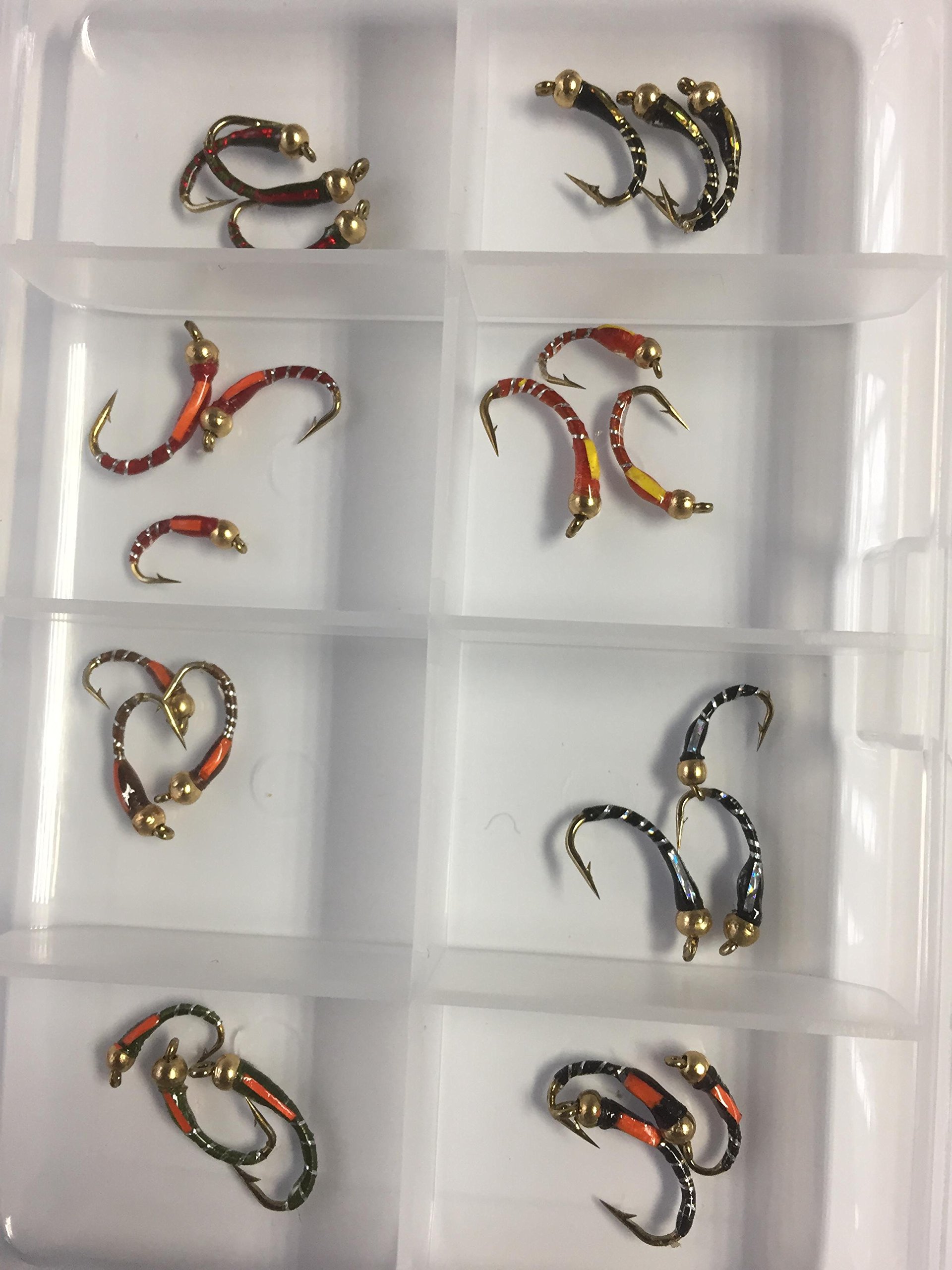 Fly Fishing 24 Beadhead Epoxy Buzzers + FREE FLY BOX Size 10-14 Trout Flies #345,