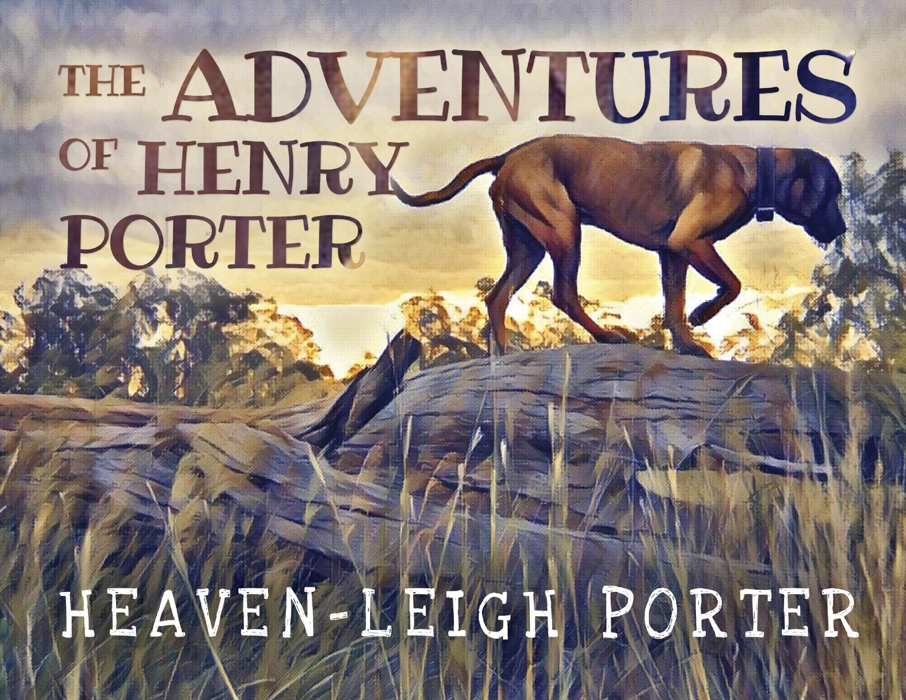 The Adventures of Henry Porter