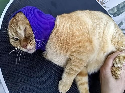 Miniatura 2 de DDFS Orejeras medianas de aseo para perros, protección de ruido, orejeras con cancelación de ruido, protectores de oídos para perros, sin solapa,