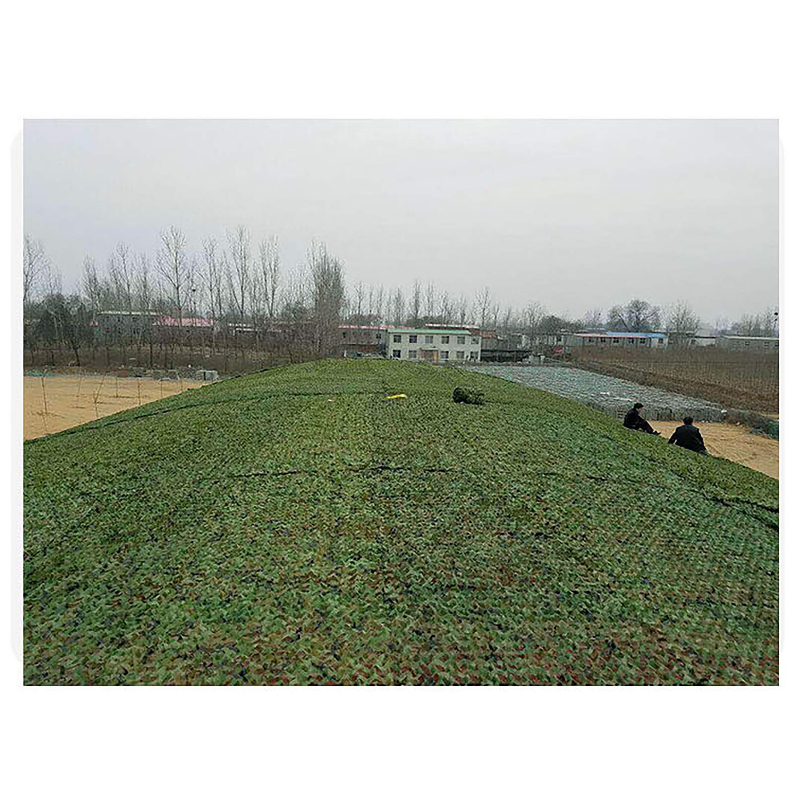 TABLE ONE AIOT! ver.-FOREST GREEN × CAMO Amazon.com: VISI-ONE Realtree Max 5 Camo Table Cloth