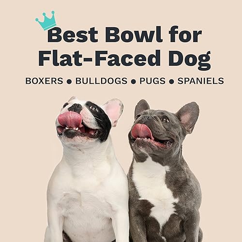 Miniatura 7 de Tazón de acero inoxidable para mascota, L