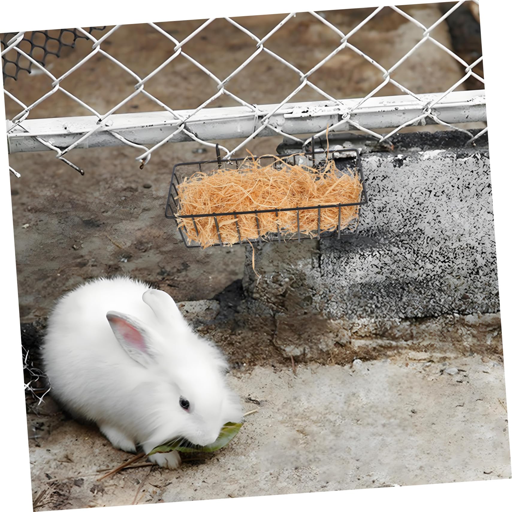 VICASKY 4 Pezzi Mangiatoia Appesa per Conigli e Piccoli Animali in Resistente Porta Fieno Antimorso Design e Adatta per Gabbie e Altri Animali Domestici