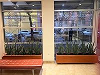 Review Image by Allison Jones Allison Jones