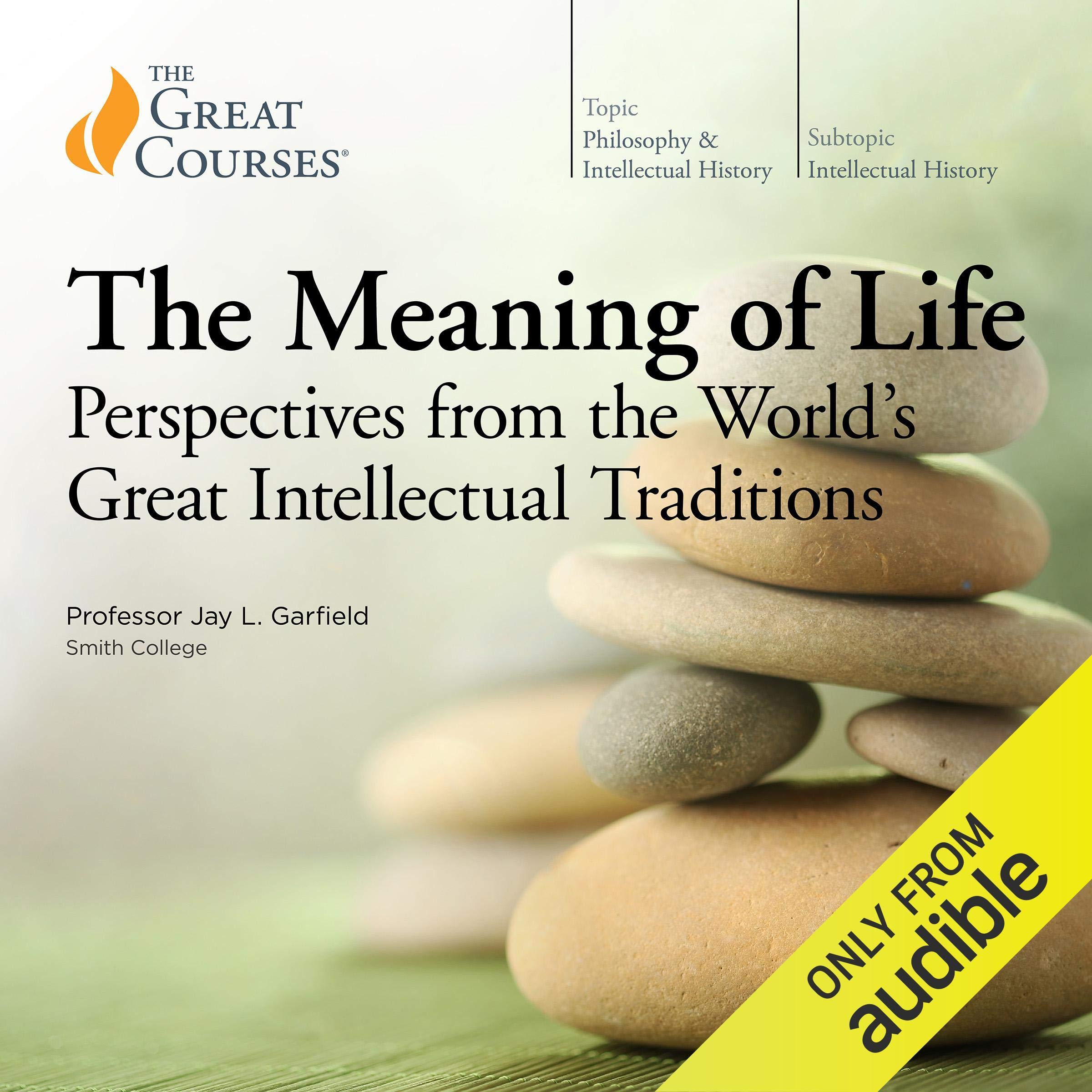 Cover art for The Meaning of Life: Perspectives from the World's Great Intellectual Traditions