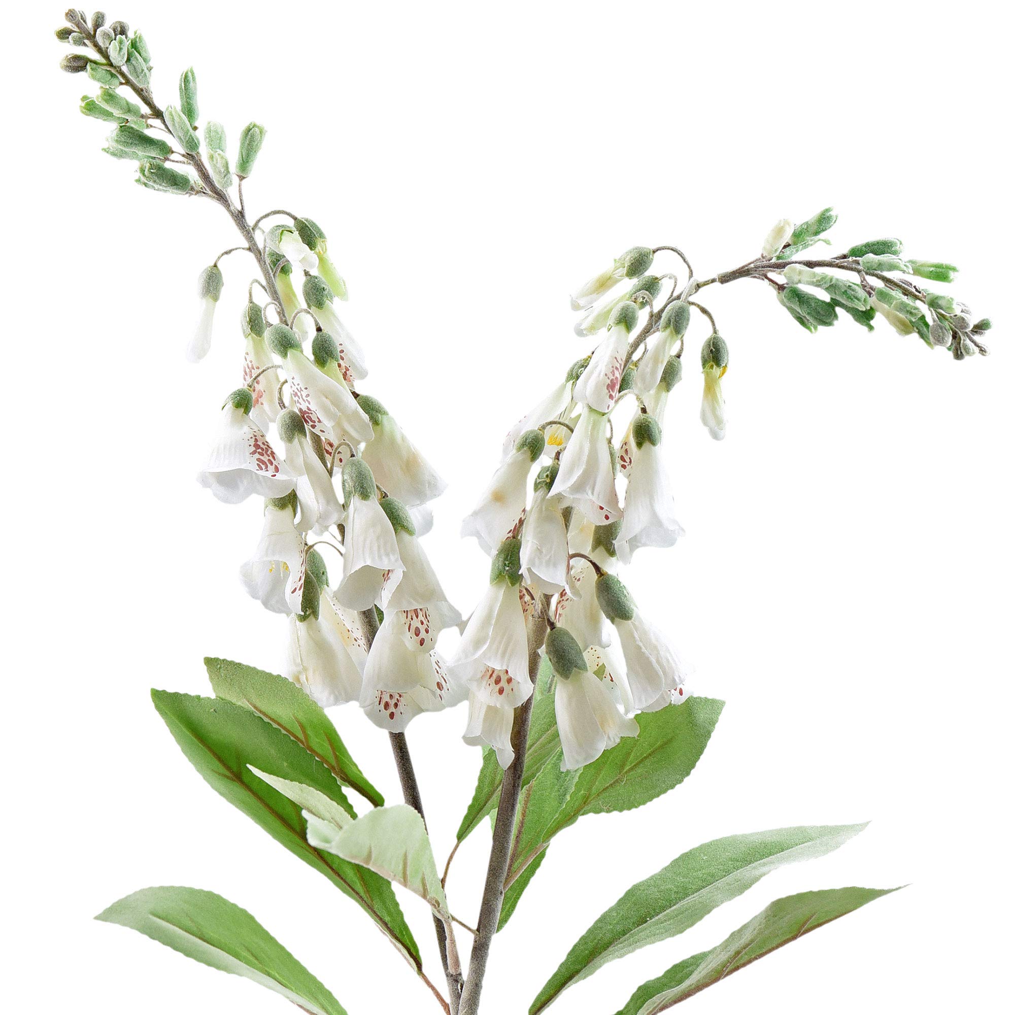Fiveseasonstuff Summer White Artificial Flowers Foxglove Plants (Digitalis Purpurea) Silk Flowers Décor 74Cm Long (Summer White) 2 Stems