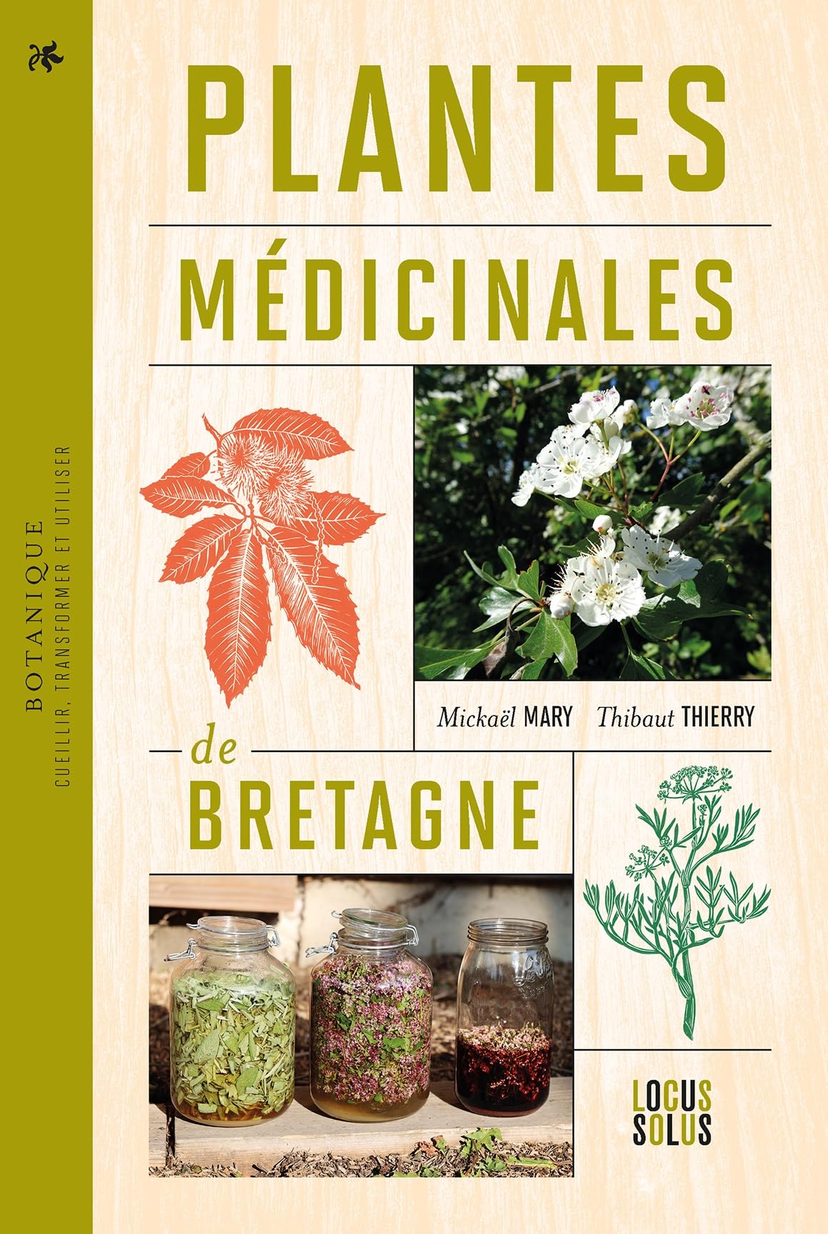Plantes médicinales de Bretagne: Cueillir, transformer et utiliser
