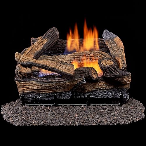 8 Best Gas Fireplace Inserts Reviews + Guide