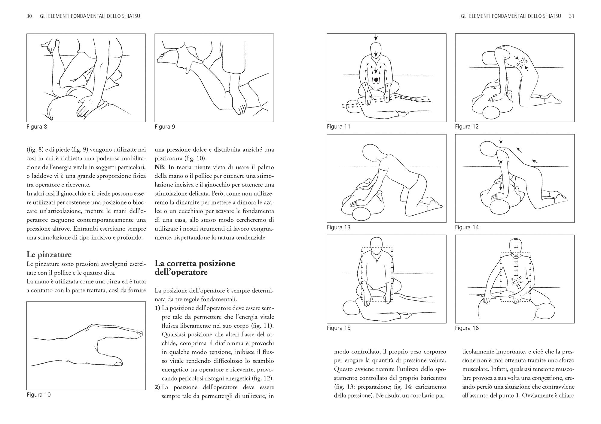 Trattato professionale di shiatsu. Metodo progressivo: teoria e pratica. Nuova ediz.
