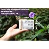 Product Photo 3
