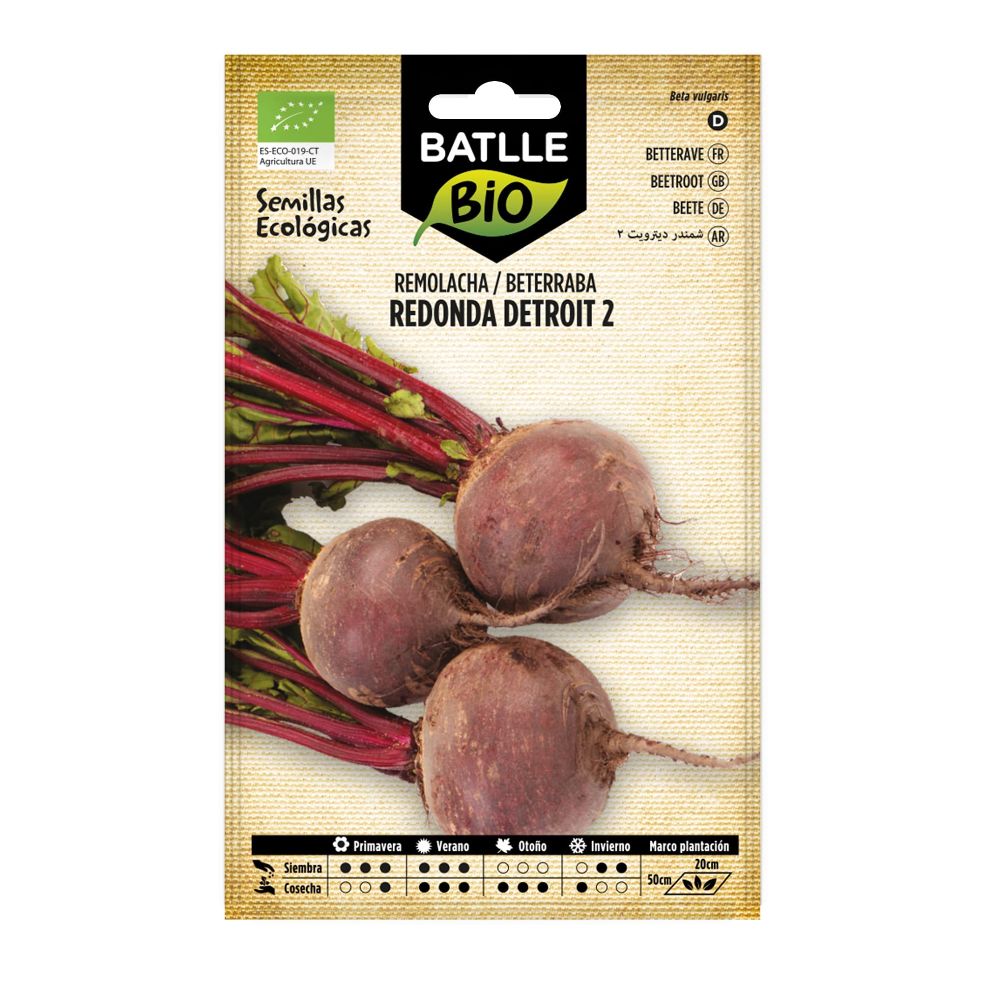 Bio nasiona - czerwone buraki Detroit 2 (125 nasion - ekologiczne)