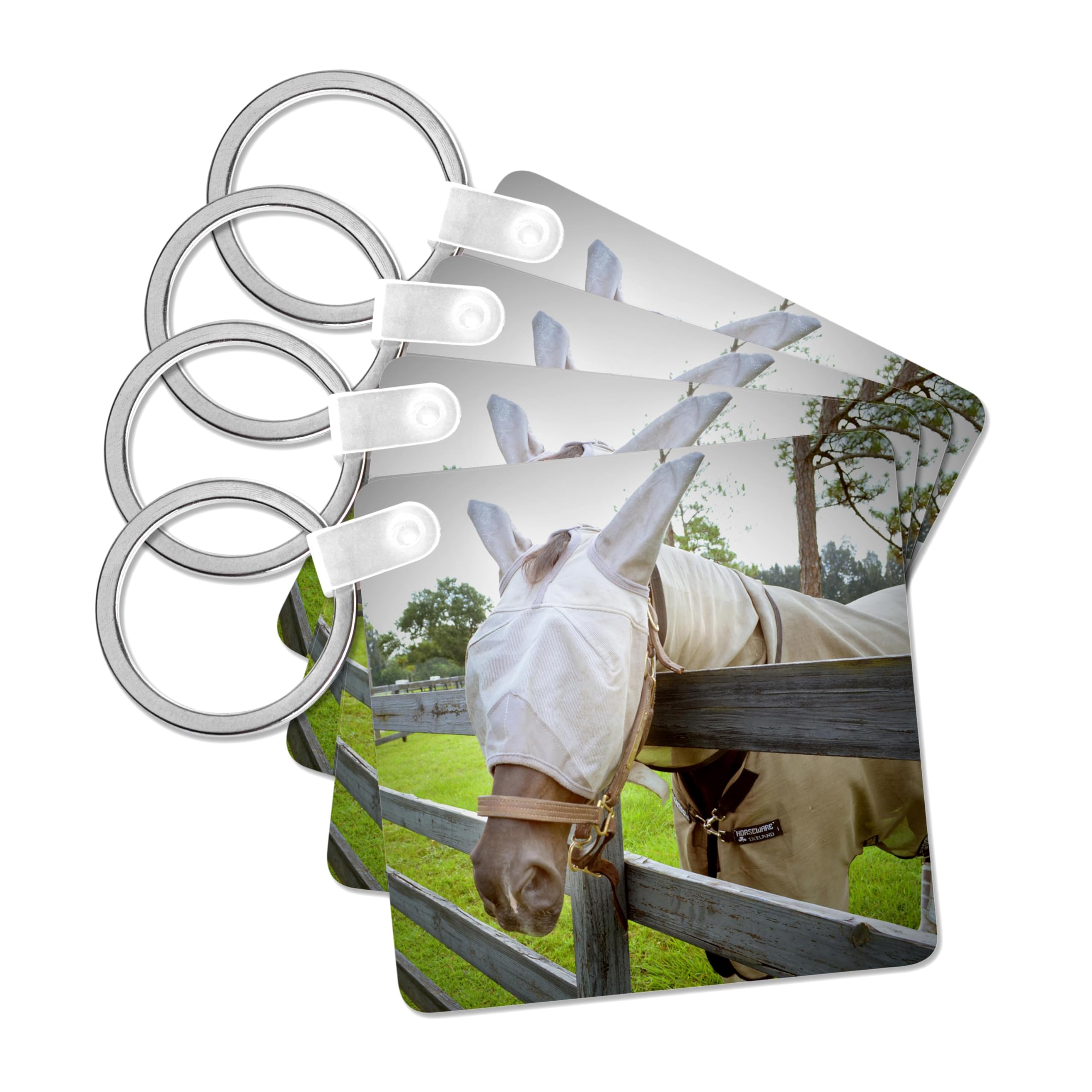 3dRose, horse fly mask over fence, set of 4 Key Chains