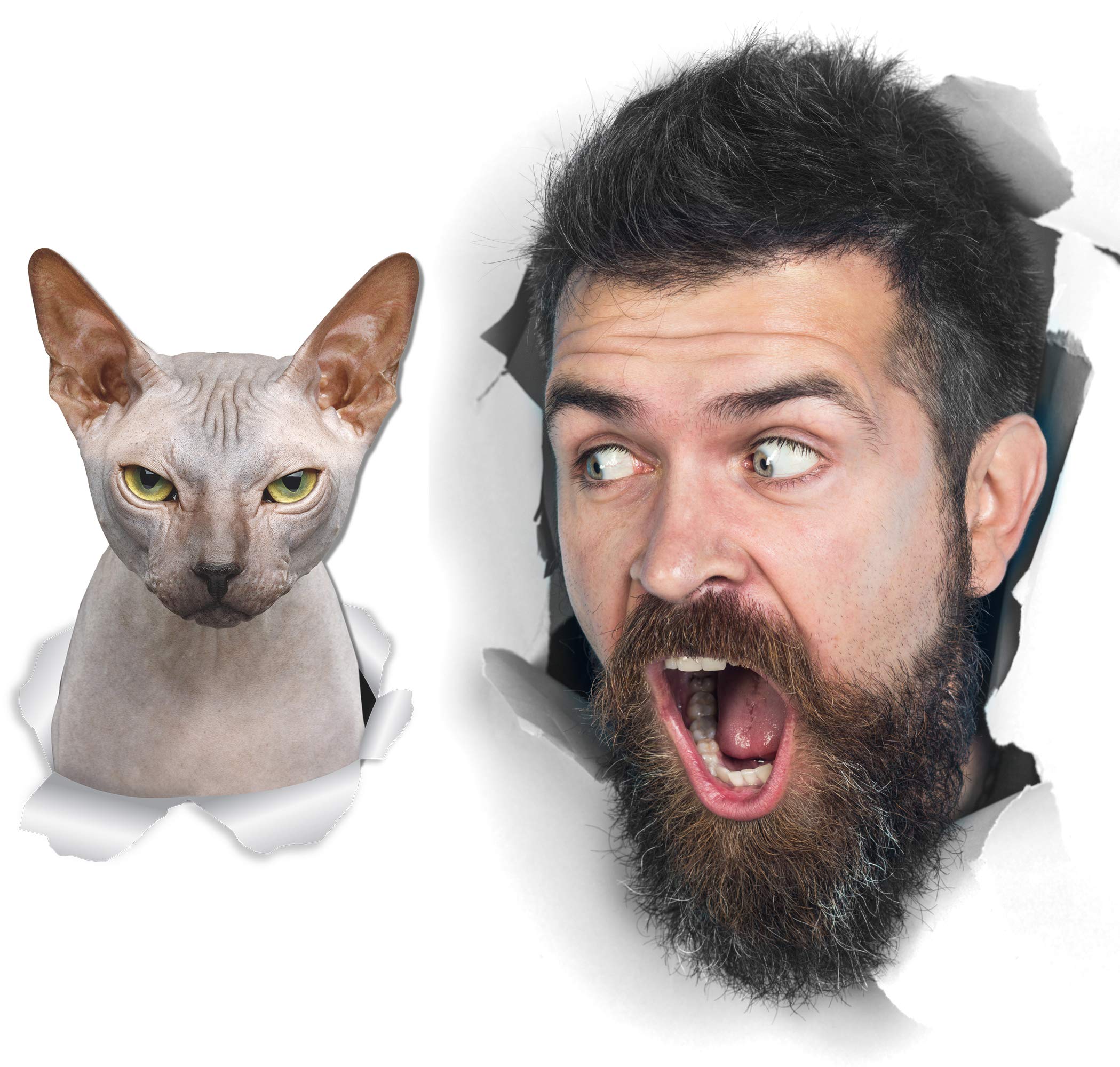 Winston & Bear Grumpy Sphynx Cat Wall Decals - 2 Pack - Sphynx Cat Toilet Sticker - 3D Cat Car Window and Bumper Sticker - Retail Packaged Sphynx Cat Gifts