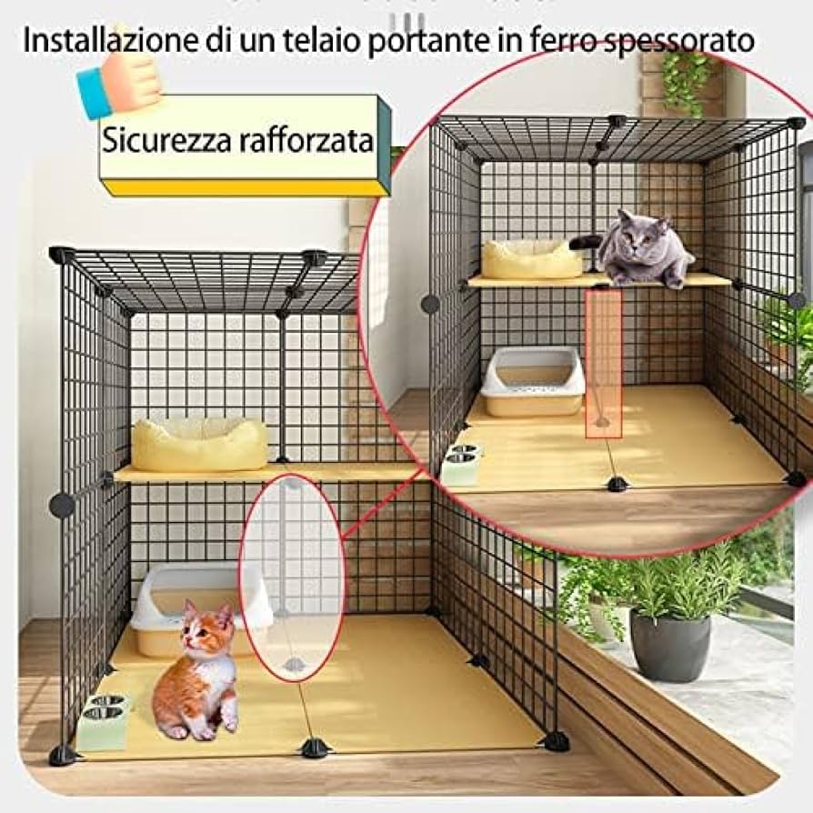 Ding Ding 喵~ PET 81ZbdO-8WyL._UF894,1000_QL80_.jpg