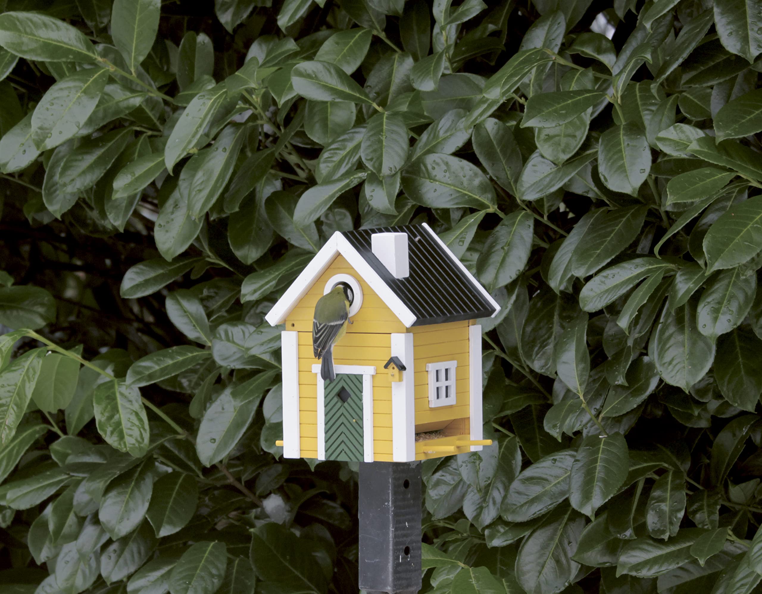 Wildlife Garden WG104 Multiholk Villa - Der Kombinierte Vogelfutterhaus und Nistkasten/Vogelhaus aus Holz