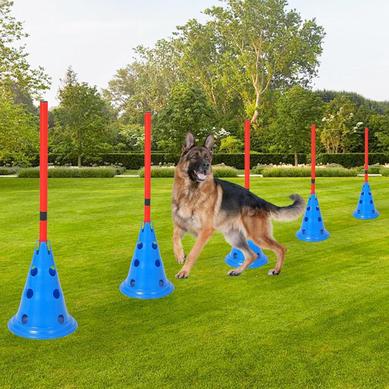 Dog Agile Course Backyard Set, Complete Dog Obstacle Kit with 12 Cones, 6 Agile Poles and Carry Bag for Training & Backyard Fun