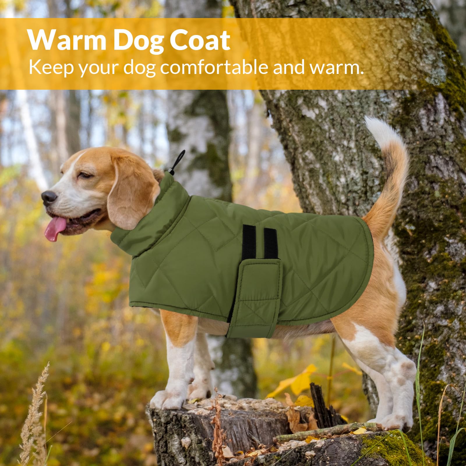 CITÉTOILE Cappotto Cane,Cappotto Invernale per Cani, Cappotto per Cani di Grossa Taglia, Giacca per Cani per Bassotti, Bulldog, Cappotto Antivento per Cani da Campeggio Indoor e Outdoor