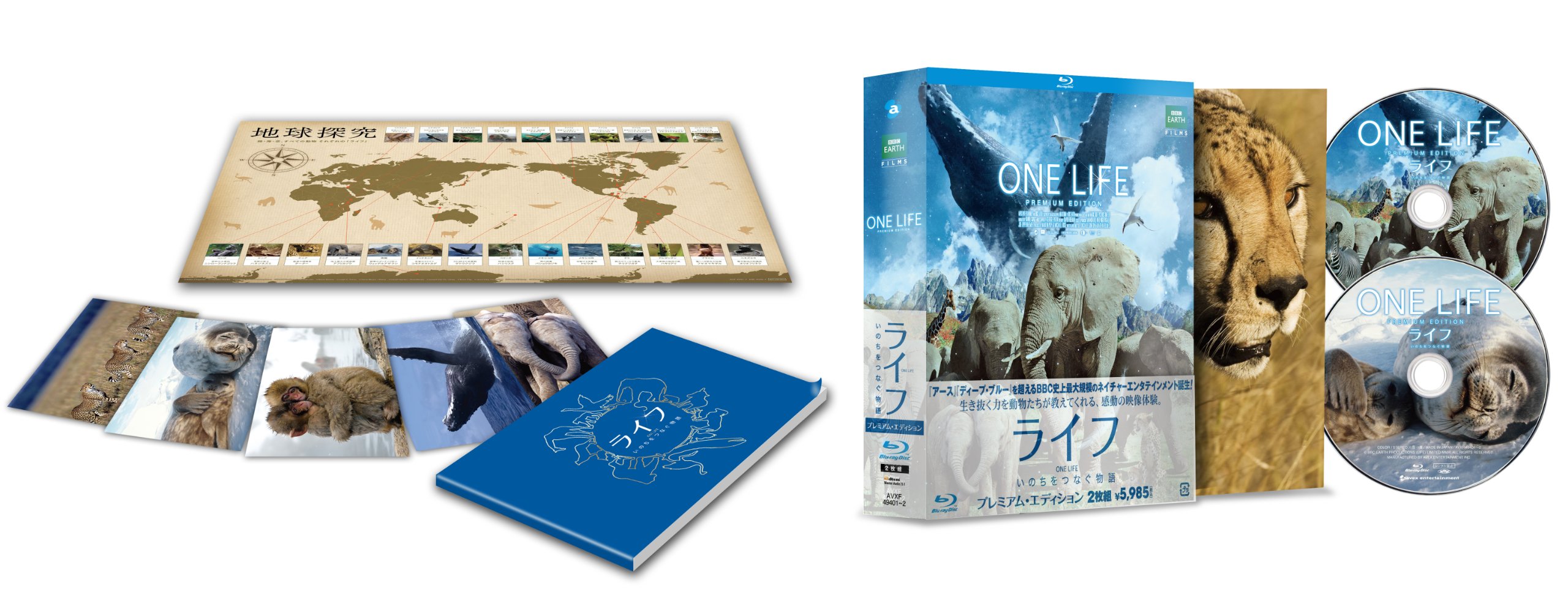 Amazon.co.jp: ライフ -いのちをつなぐ物語- Blu-Ray プレミアム