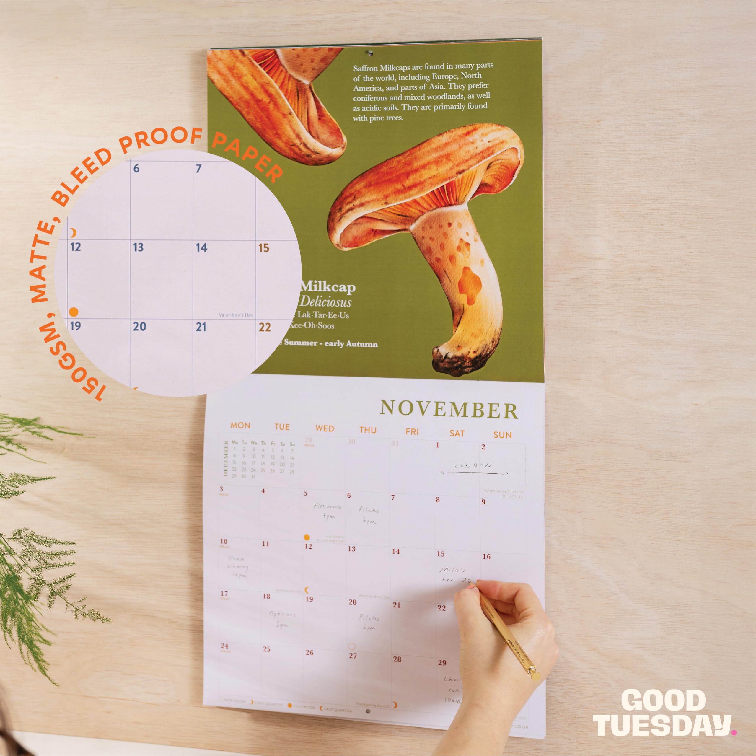 Eenvoudige Kalender Voor 2016 12 Maanden De Week Begint Maandag Vector