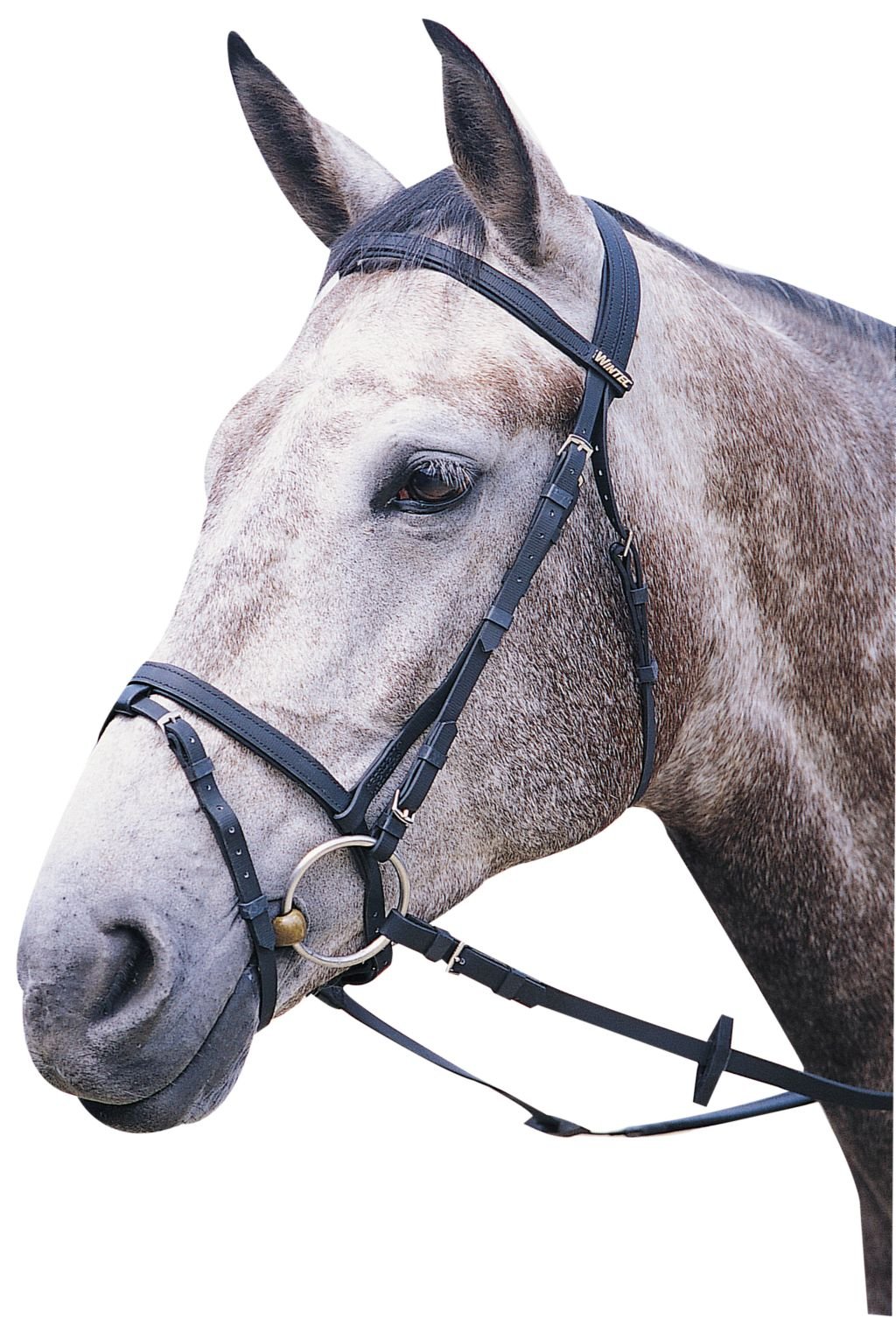 Wintec Flash Bridle Without Reins Cob Black