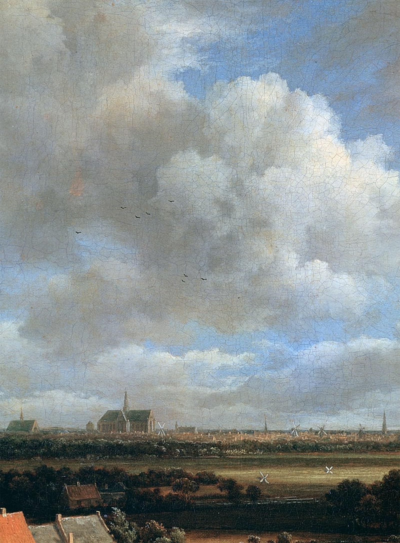 Impression Pour la Décoration Murale de prestige : Haarlem par Ruisdael - 5
