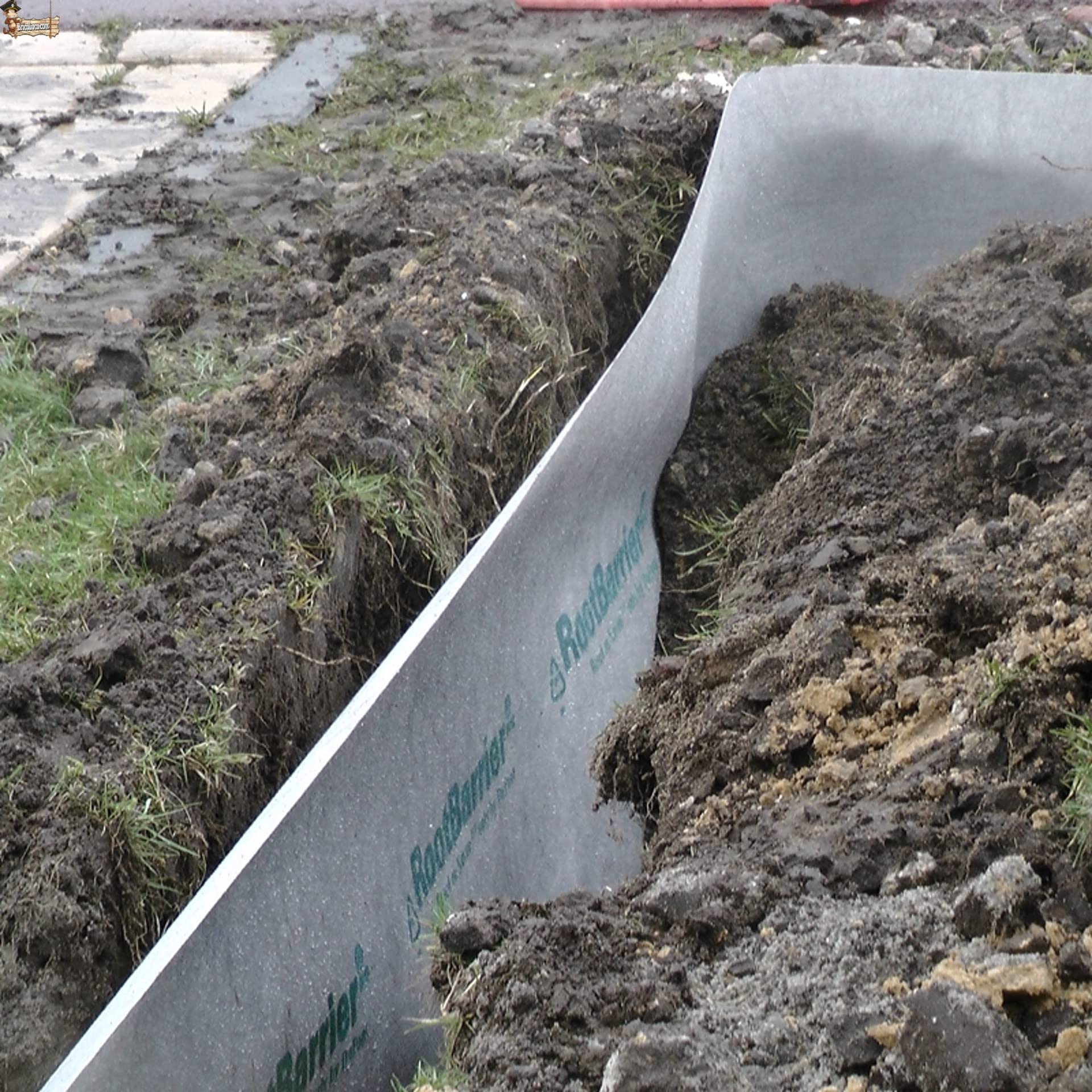 BricoLoco.com Tela antiraices. Malla geotextil en lámina. Impide el Crecimiento de raíces de árboles o Plantas a Lugares no deseados. Protege Cables, tuberías, Piscina, Estanque. (0,65x10 MTS.)