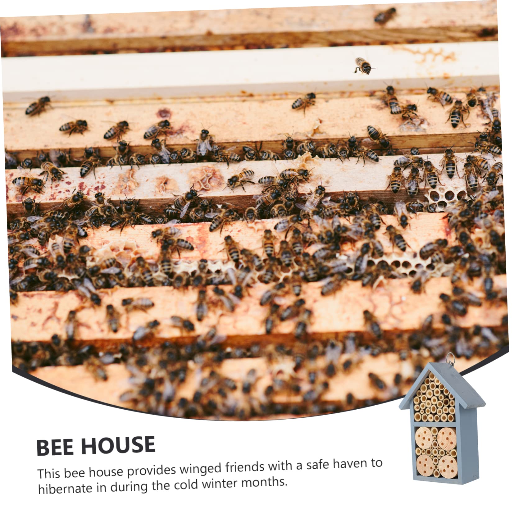 TOPBATHY Blaues Insektenhaus und Eisen Dekoratives Gartenhaus für Wildbienen Fertig Montiert mit Eisenhaken für Outdoor und Winter im Garten
