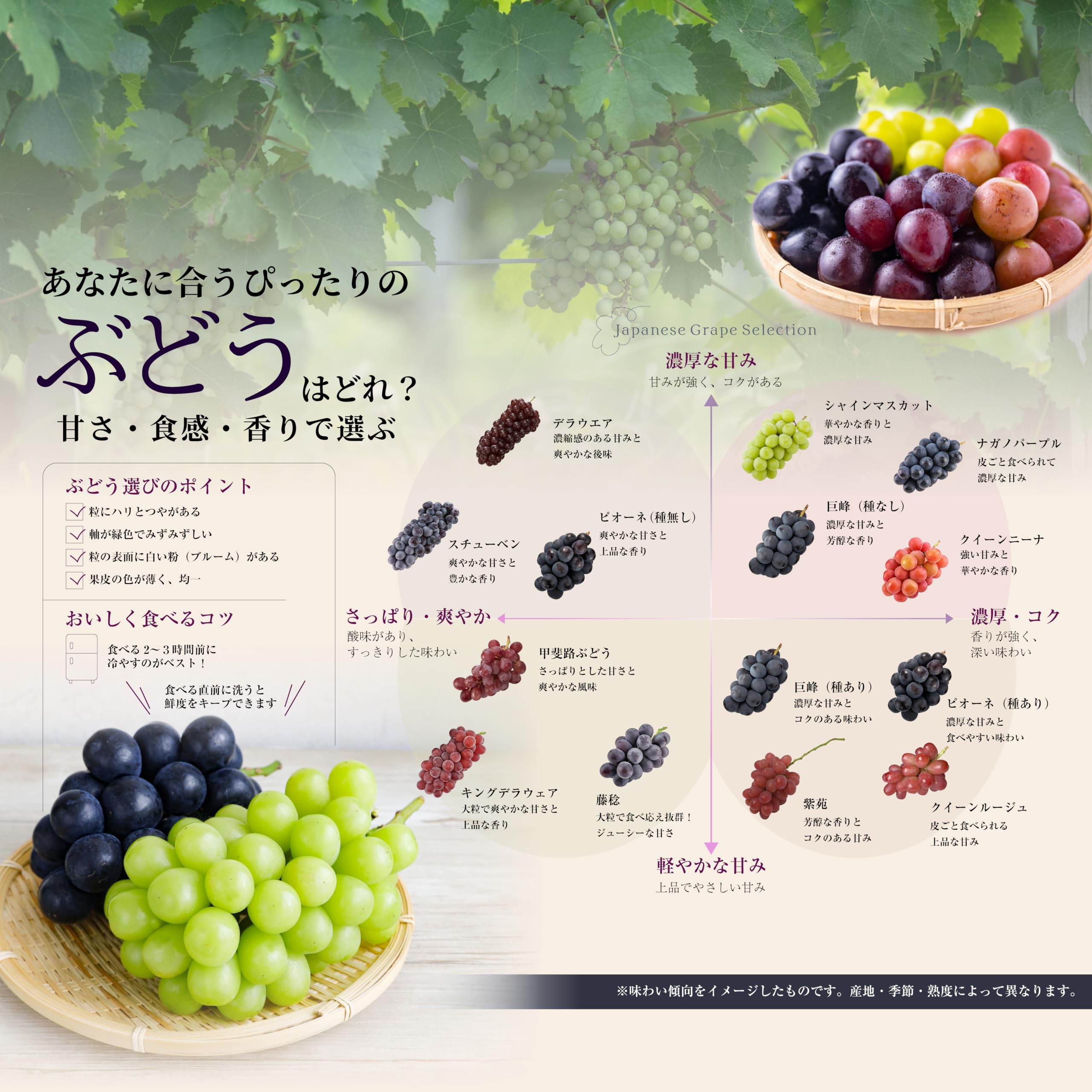 Amazon.co.jp: [冷蔵]生鮮食品 国内産 シャインマスカット 1パック