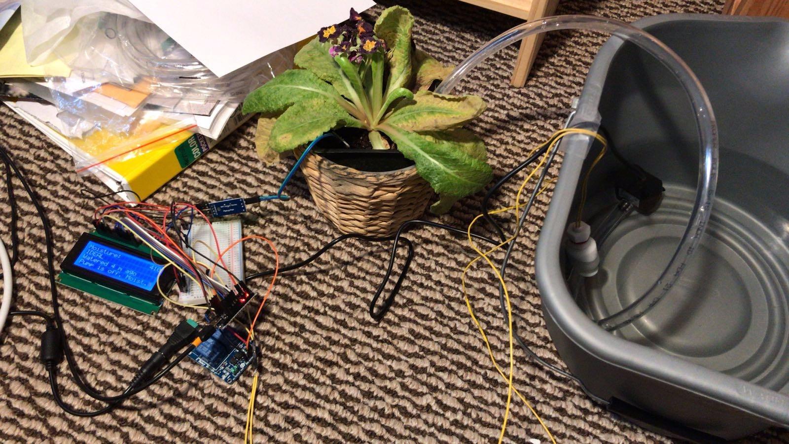 Exactly what I needed