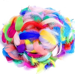 Sponsored Ad - 600PCS Colorful Feathers DIY Crafting Feathers Wedding and Party Decoration Bulk Feather for Mask,Windbell ...