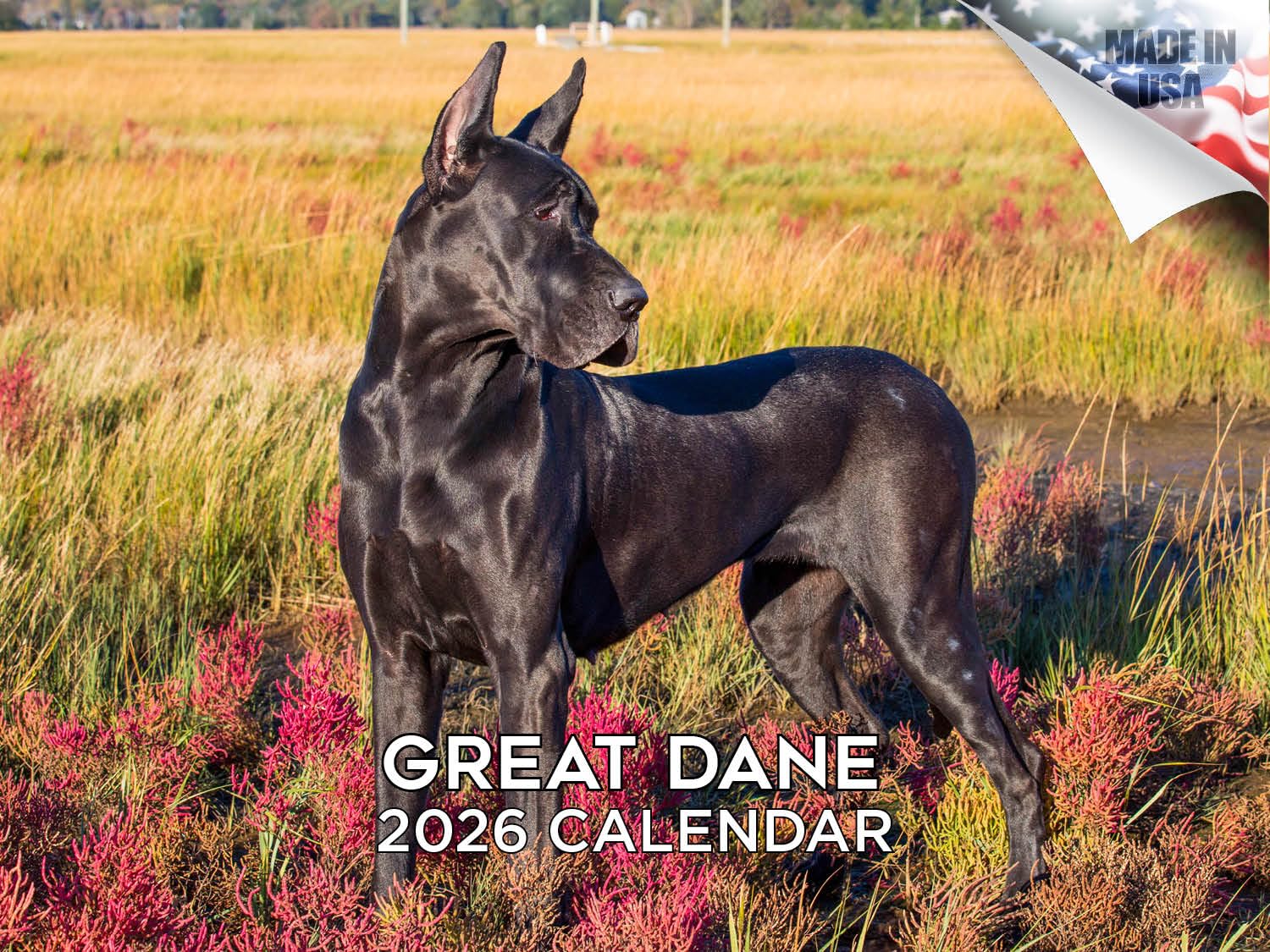 2024 2025 Great Dane Calendar - Dog Breed Monthly Wall Calendar - 12 x 18 Open - Thick No-Bleed Paper - Giftable - Academic Teacher's Planner Calendar Organizing & Planning - Made in USA