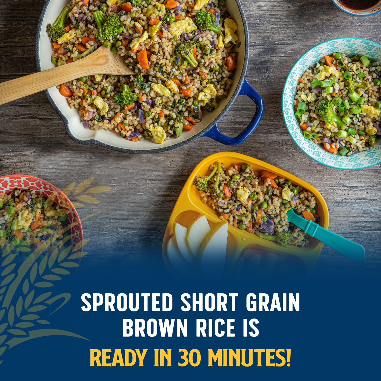 Lundberg Organic Sprouted Short-Grain Brown Rice – Nutty & Sticky, Germinated Whole Grain, 16 Oz