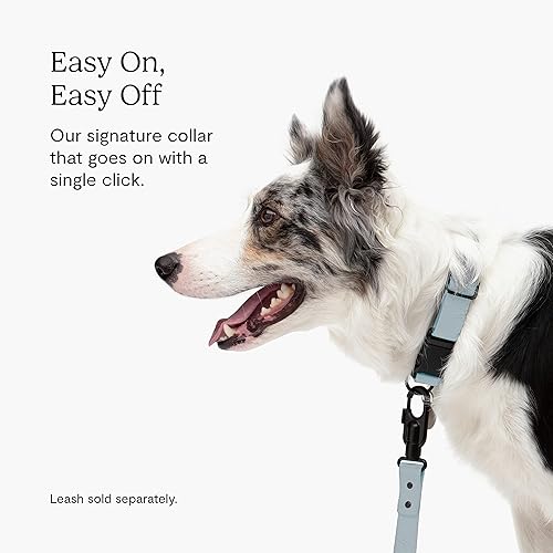 Miniatura 2 de FABLE Collar distintivo, ligero, impermeable y duradero, collar de cincha recubierto con hebilla de aluminio, fácil de poner y quitar y cambiar el