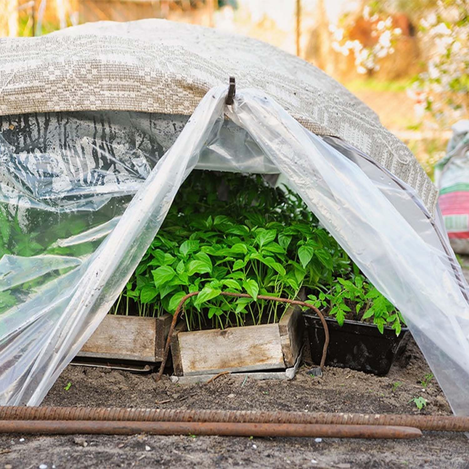 Plastico Invernadero, 2 x 10 Metros, Transparente, Reutilizable, Adecuado para Jardinería y Agricultura